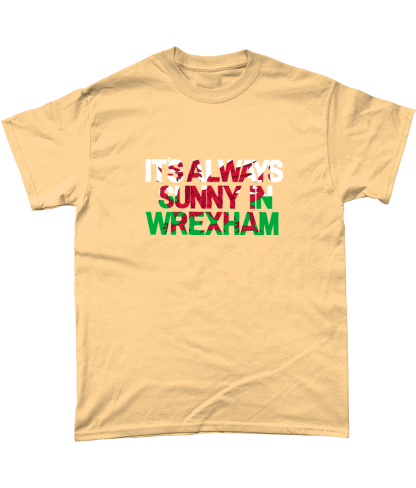 Always Sunny in Wrexham Gildan Heavy Cotton T-Shirt - Image 11