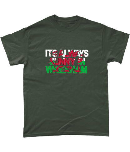 Always Sunny in Wrexham Gildan Heavy Cotton T-Shirt - Image 7